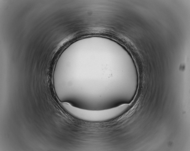 X0000099441210200805301443