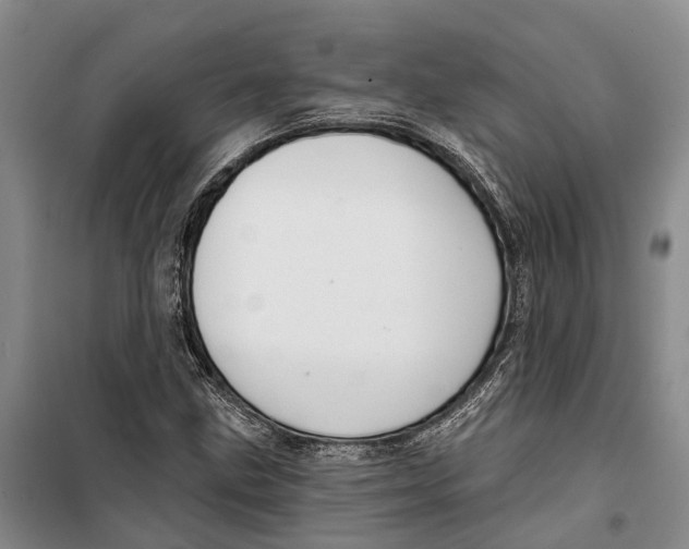 X0000099441211200805301443