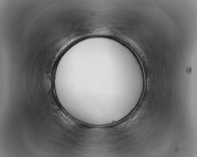X0000099441212200805301443