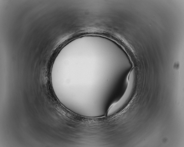X0000099441213200805301443