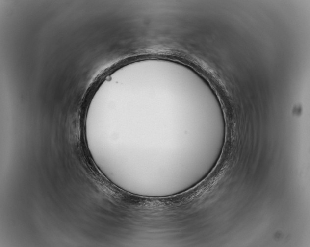 X0000099441214200805301443