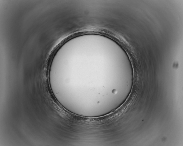 X0000099441216200805301443