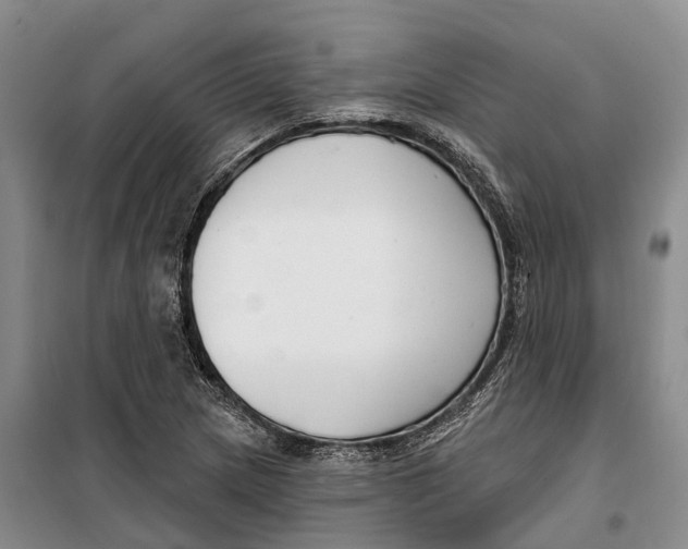 X0000099441217200805301443
