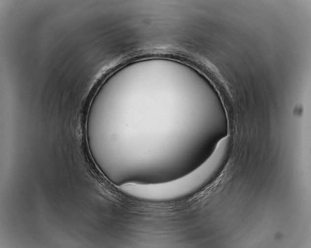 X0000099441218200805301443