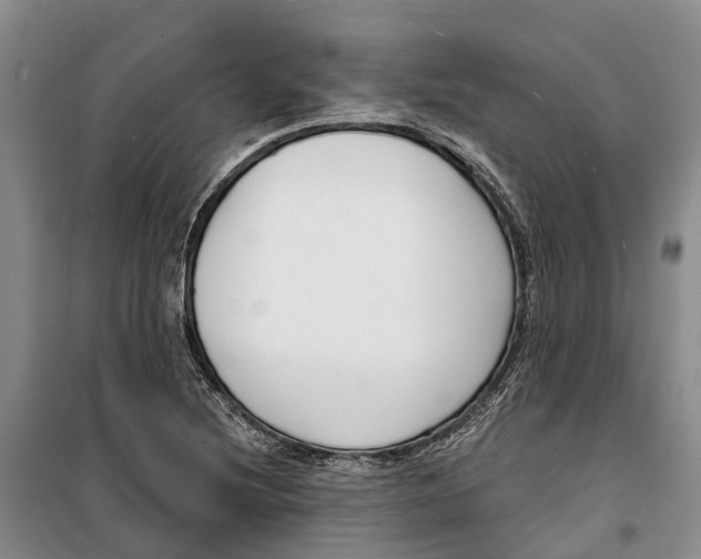 X0000099441220200805301443