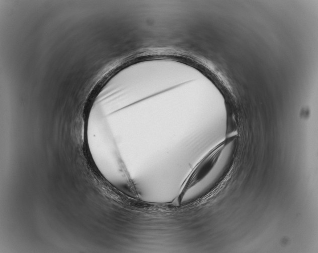 X0000099441221200805301443