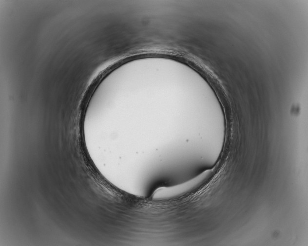 X0000099441222200805301443