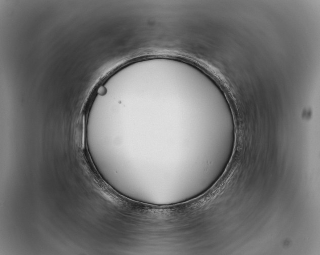 X0000099441223200805301443