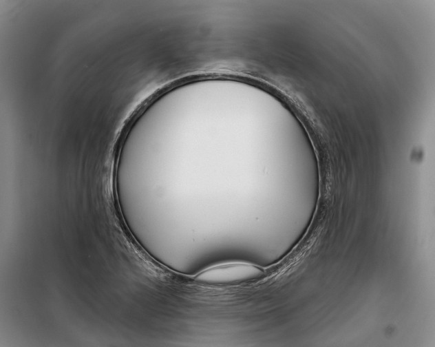 X0000099441224200805301443