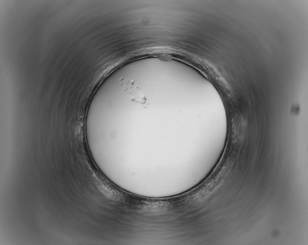 X0000099441225200805301444