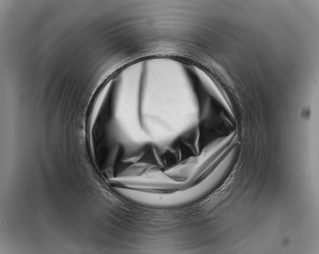 X0000099441226200805301444