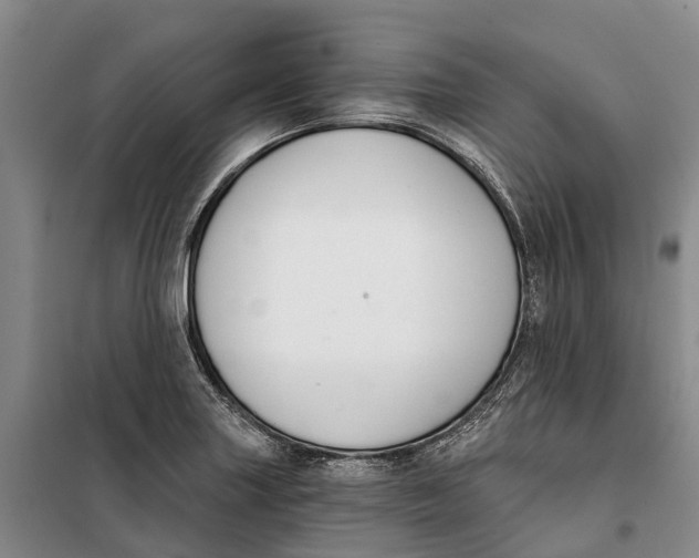 X0000099441227200805301444