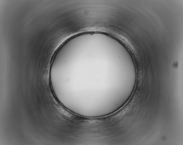 X0000099441228200805301444