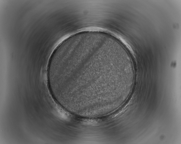 X0000099441229200805301444