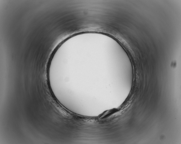 X0000099441230200805301444
