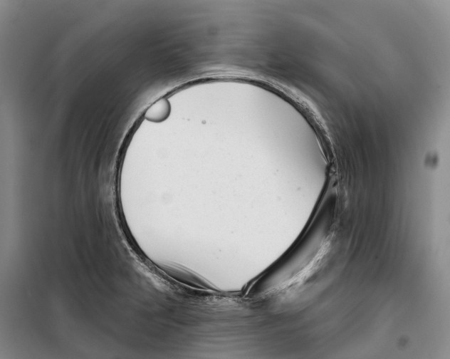 X0000099441231200805301444