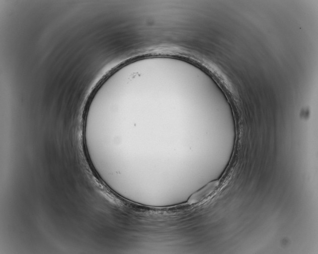 X0000099441232200805301444