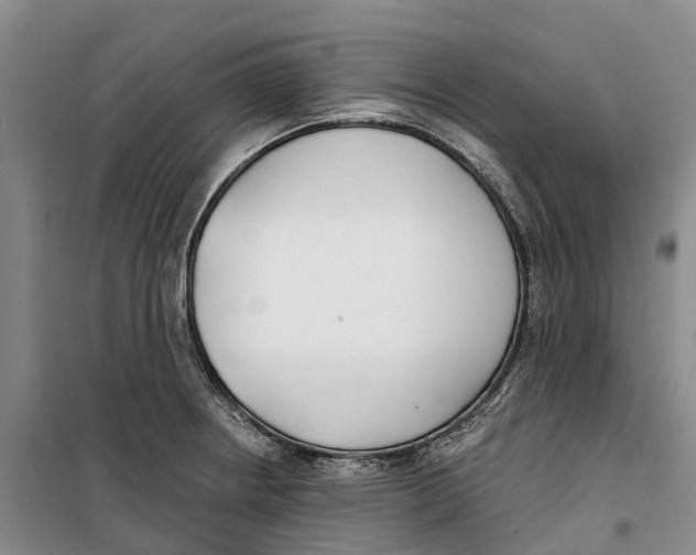 X0000099441234200805301444