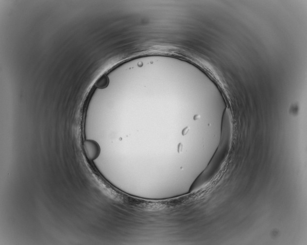X0000099441235200805301444