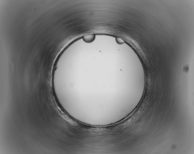 X0000099441236200805301444