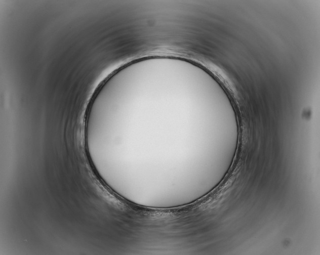X0000099441238200805301444