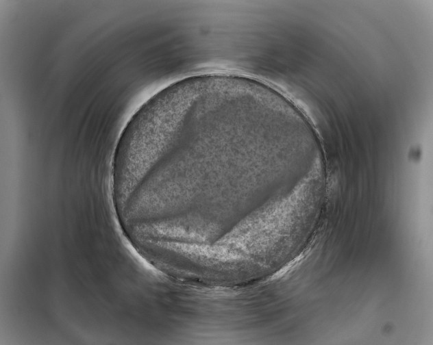 X0000099441239200805301444