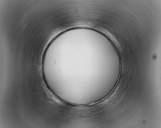 X0000099441240200805301444