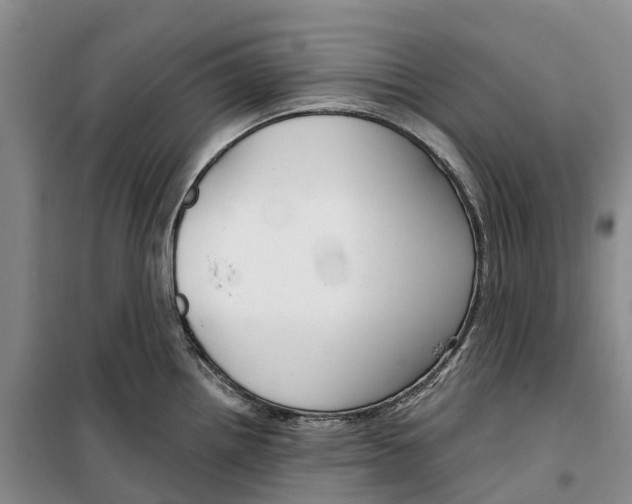 X0000099441242200805301444