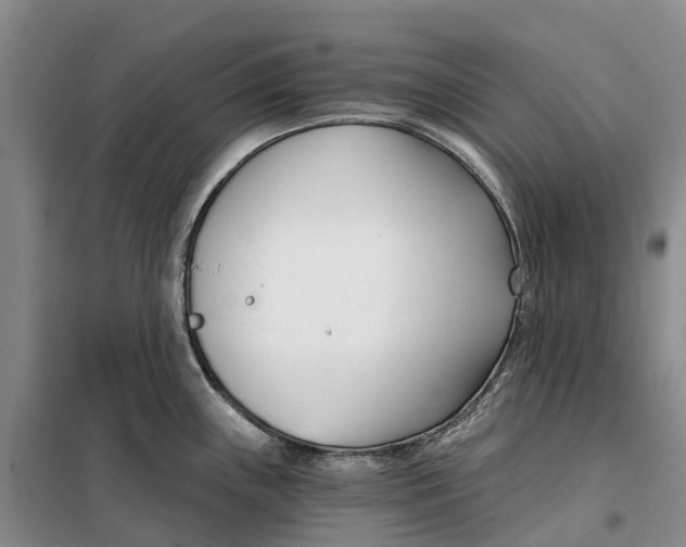 X0000099441243200805301444