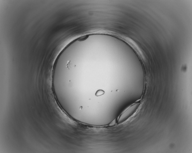 X0000099441244200805301444
