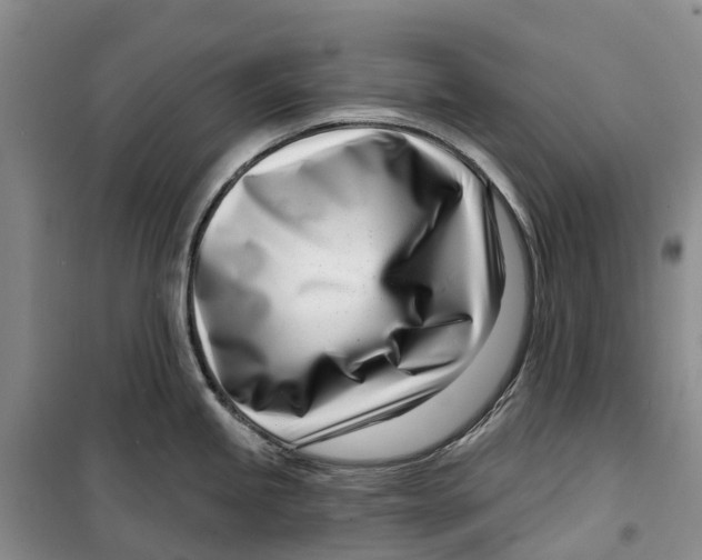 X0000099441245200805301444
