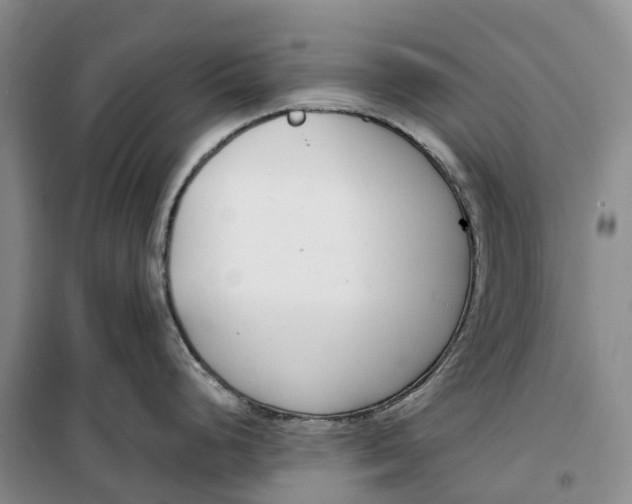 X0000099441248200805301444