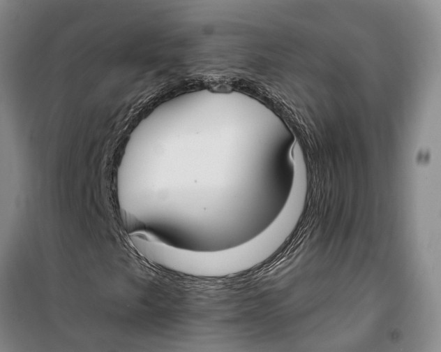 X0000099441249200805301443