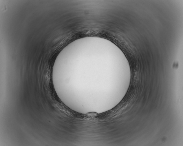 X0000099441250200805301443