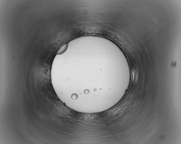 X0000099441251200805301443