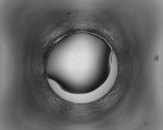 X0000099441253200805301443