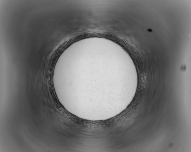 X0000099441254200805301443