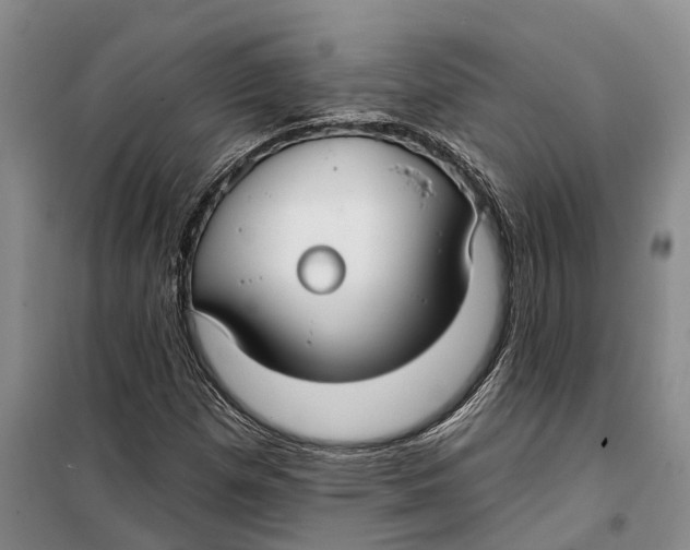 X0000099441257200805301443