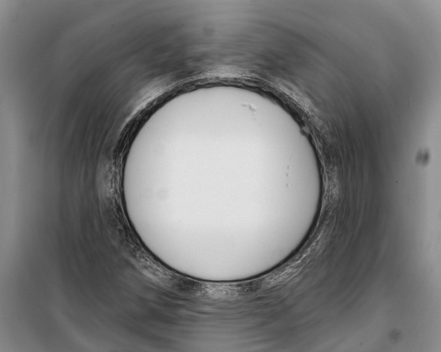X0000099441258200805301443
