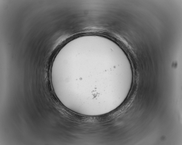 X0000099441259200805301443
