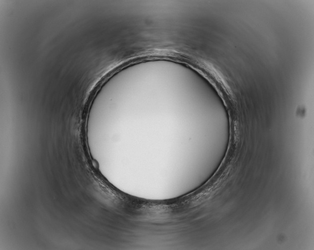 X0000099441260200805301443