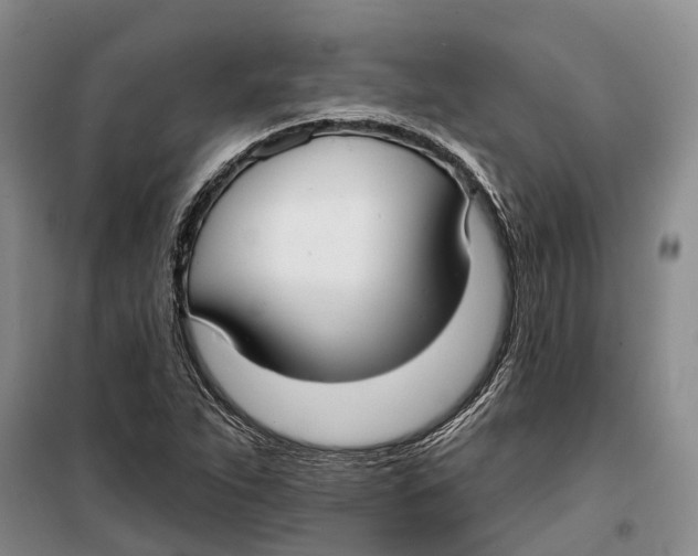 X0000099441263200805301443