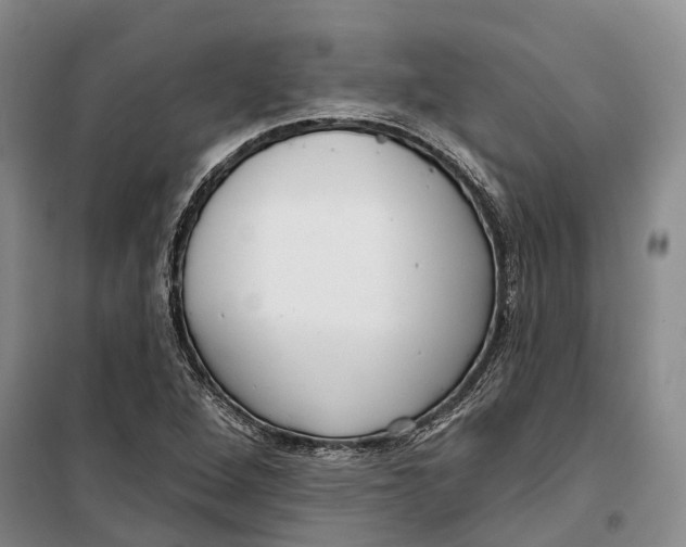 X0000099441264200805301443