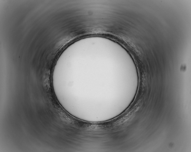 X0000099441265200805301443