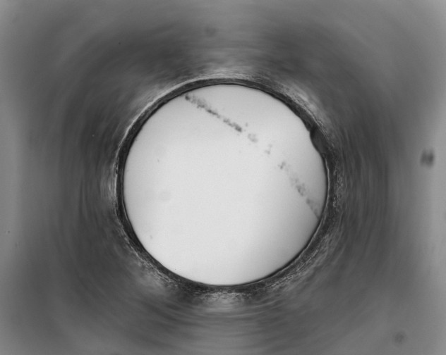 X0000099441268200805301443