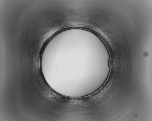 X0000099441269200805301443