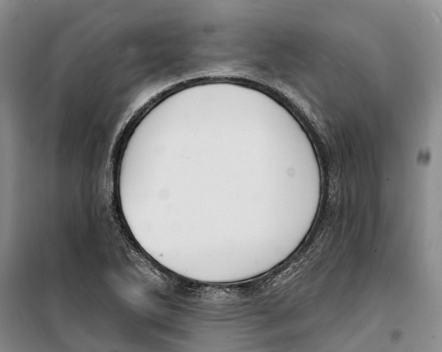 X0000099441270200805301443