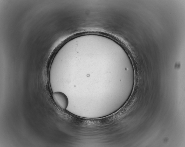 X0000099441271200805301443