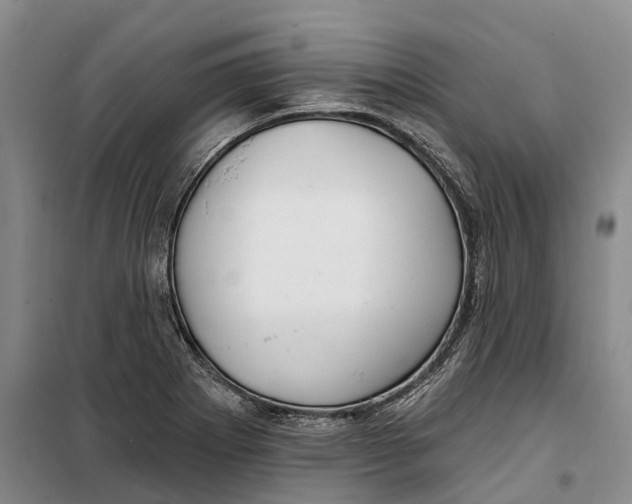 X0000099441273200805301443