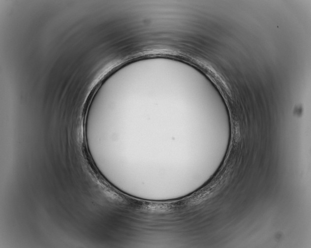 X0000099441274200805301443
